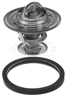 Thermostat, coolant (BBT356)