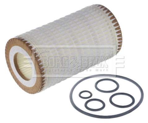 Oil Filter (BFO4048HD)