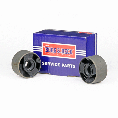 Mounting, control/trailing arm