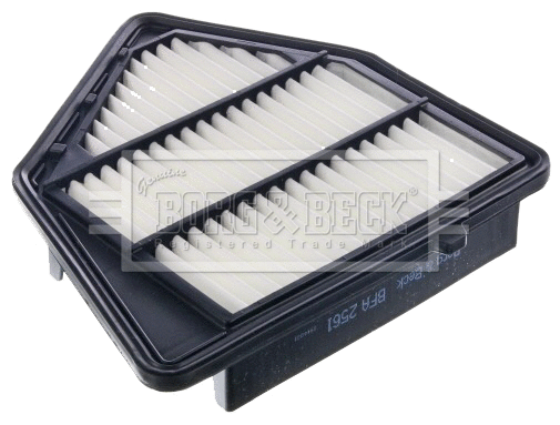 Air Filter (BFA2561)