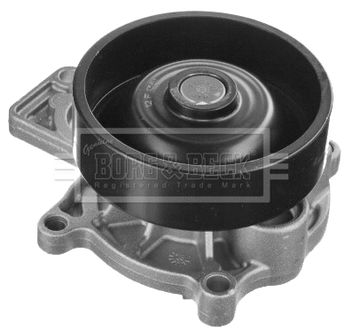 Water Pump, engine cooling (BWP2455)