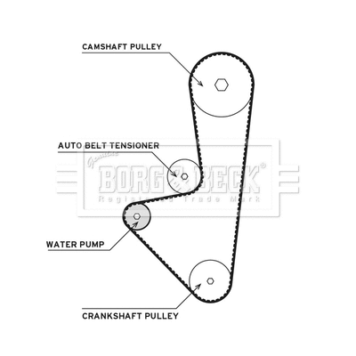 Water Pump & Timing Belt Kit (BTW1033)