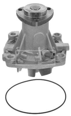 Water Pump, engine cooling (BWP1769)