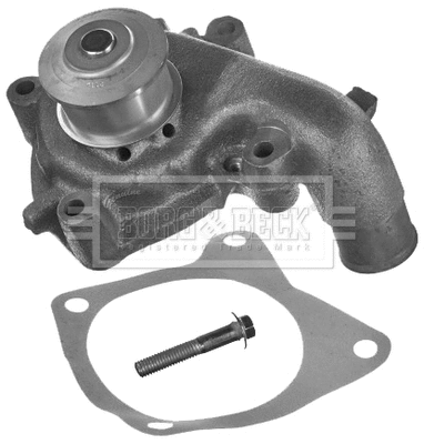Water Pump, engine cooling (BWP1736)