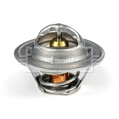 Thermostat, coolant (BTS104.88)