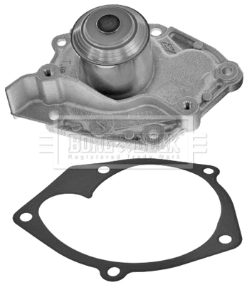 Water Pump, engine cooling (BWP2253)
