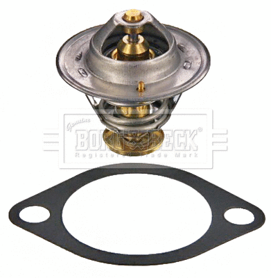 Thermostat, coolant (BBT083)