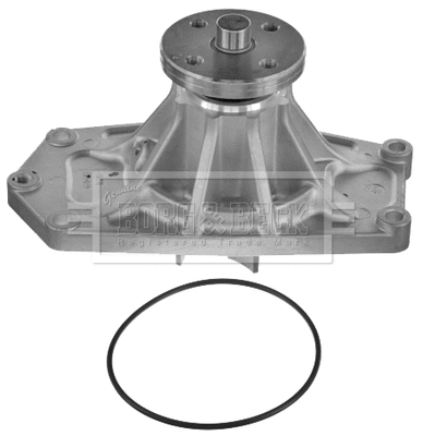 Water Pump, engine cooling (BWP2164)