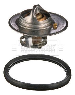 Thermostat, coolant (BBT036)