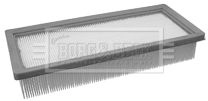 Air Filter (BFA2089)