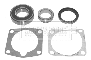 Wheel Bearing Kit (BWK178)