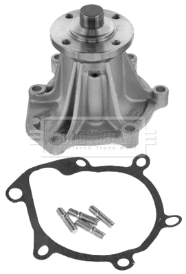 Water Pump, engine cooling (BWP1693)