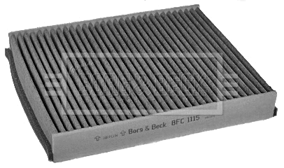 Filter, cabin air (BFC1115)