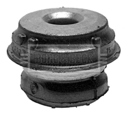 Mounting, control/trailing arm (BSK6349)