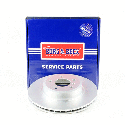 Brake Disc (BBD7025S)