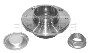 Wheel Bearing Kit (BWK894)