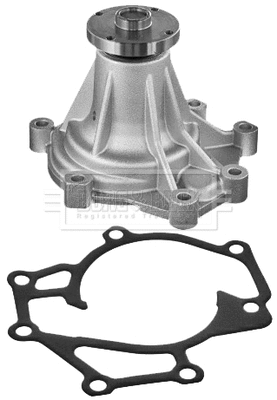 Water Pump, engine cooling (BWP2119)