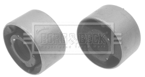 Mounting, control/trailing arm (BSK6019)