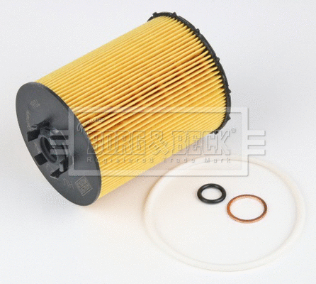 Oil Filter (BFO4231HD)