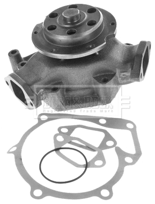 Water Pump, engine cooling (BWP32742)