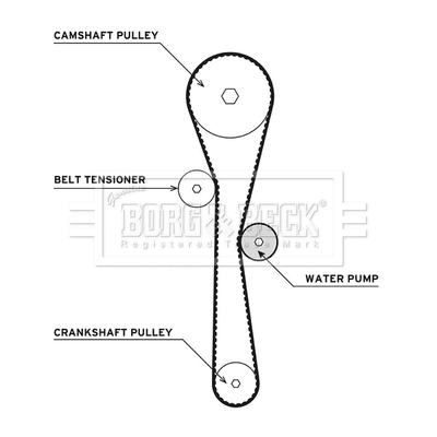 Water Pump & Timing Belt Kit (BTW1011)