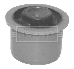 Mounting, control/trailing arm (BSK6637)
