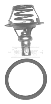 Thermostat, coolant (BBT038)