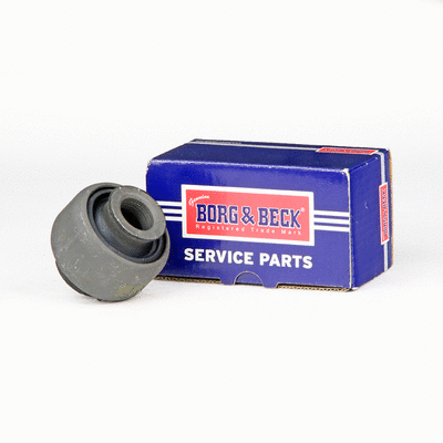 Mounting, control/trailing arm