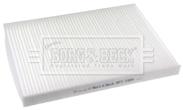 Filter, cabin air (BFC1309)