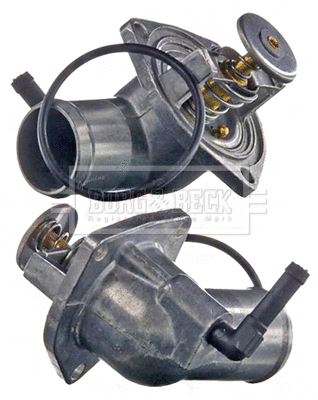 Thermostat, coolant (BBT074)