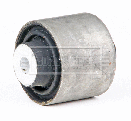 Mounting, control/trailing arm (BSK8138)