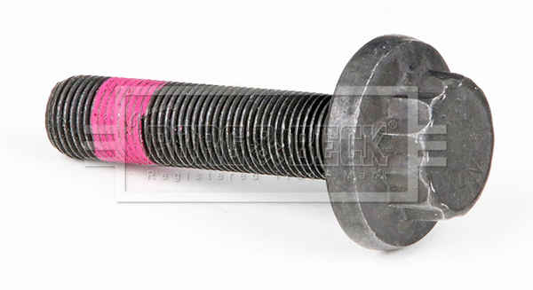Nut, stub axle (BHN221)