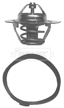 Thermostat, coolant (BBT041)