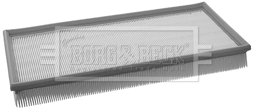 Air Filter (BFA2160)