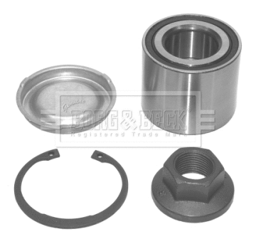 Wheel Bearing Kit (BWK884)