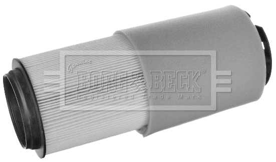 Air Filter (BFA2506)