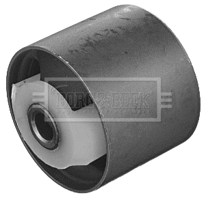 Mounting, control/trailing arm (BSK7810)