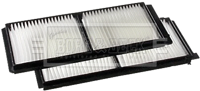 Filter, cabin air (BFC1138)