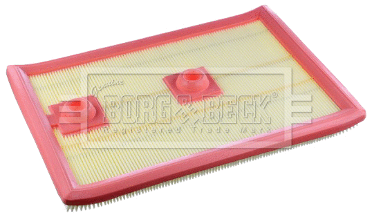 Air Filter (BFA2555)