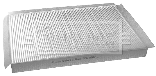 Filter, cabin air (BFC1087)