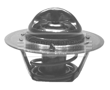 Thermostat, coolant (BTS428.77)