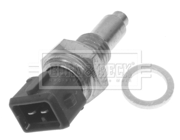 Sensor, coolant temperature (BTS3019)