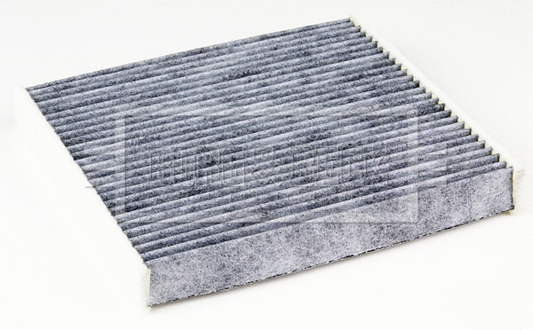 Filter, cabin air (BFC1179HD)