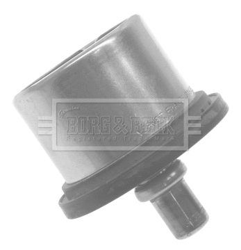 Thermostat, coolant (BTS624.80)