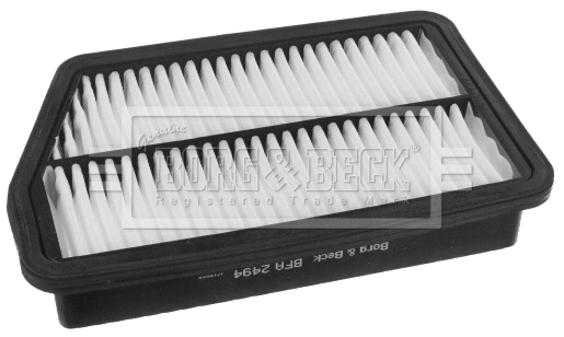 Air Filter (BFA2494)