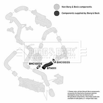 Charge Air Hose (BTH1111)