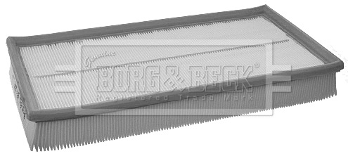 Air Filter (BFA2161)