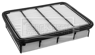 Air Filter (BFA2178)