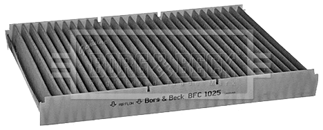 Filter, cabin air (BFC1025)