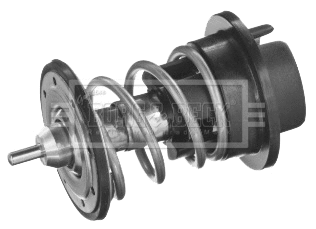 Thermostat, coolant (BBT463)